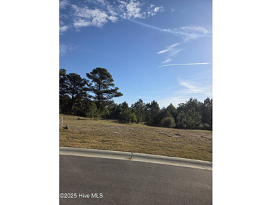 Ocean Ridge Plantation is home to the elegant country club on Sea Trail Golf Resort in North Carolina - for sale on GolfHomes.com, golf home, golf lot