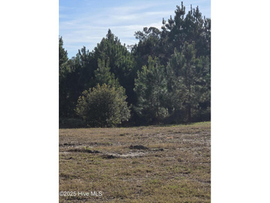 Ocean Ridge Plantation is home to the elegant country club on Sea Trail Golf Resort in North Carolina - for sale on GolfHomes.com, golf home, golf lot