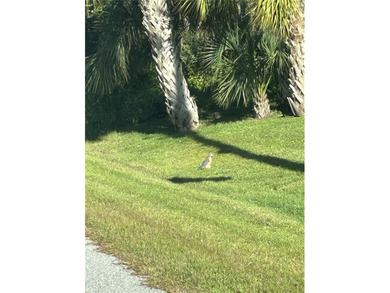 Great oversized corner lot in a deed restricted community. Lot on Rotonda Golf and Country Club The Links Course in Florida - for sale on GolfHomes.com, golf home, golf lot