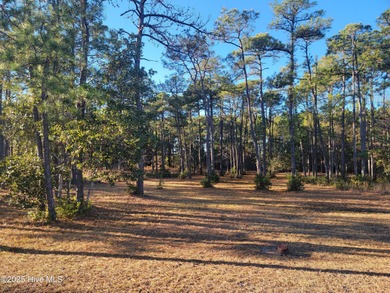 Nicely wooded home site on a quite cul-de-sac in the growing on Ocean Ridge Plantation in North Carolina - for sale on GolfHomes.com, golf home, golf lot