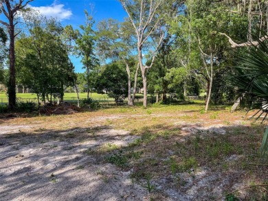 NO FLOOD ZONE, NO HOA, GOLF COURSE VIEWS!  Build your DREAM HOME on Cypress Run Golf Club - Pinellas in Florida - for sale on GolfHomes.com, golf home, golf lot