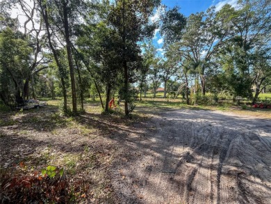 NO FLOOD ZONE, NO HOA, GOLF COURSE VIEWS!  Build your DREAM HOME on Cypress Run Golf Club - Pinellas in Florida - for sale on GolfHomes.com, golf home, golf lot