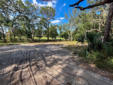 NO FLOOD ZONE, NO HOA, GOLF COURSE VIEWS!  Build your DREAM HOME on Cypress Run Golf Club - Pinellas in Florida - for sale on GolfHomes.com, golf home, golf lot