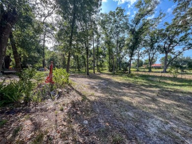 NO FLOOD ZONE, NO HOA, GOLF COURSE VIEWS!  Build your DREAM HOME on Cypress Run Golf Club - Pinellas in Florida - for sale on GolfHomes.com, golf home, golf lot