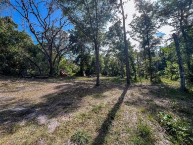 NO FLOOD ZONE, NO HOA, GOLF COURSE VIEWS!  Build your DREAM HOME on Cypress Run Golf Club - Pinellas in Florida - for sale on GolfHomes.com, golf home, golf lot