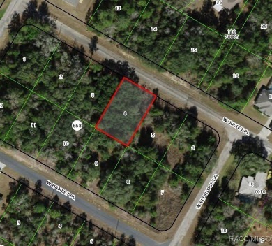 Picturesque homesite in Citrus Springs offering an incredible on Pine Ridge Community Golf and Country Club in Florida - for sale on GolfHomes.com, golf home, golf lot