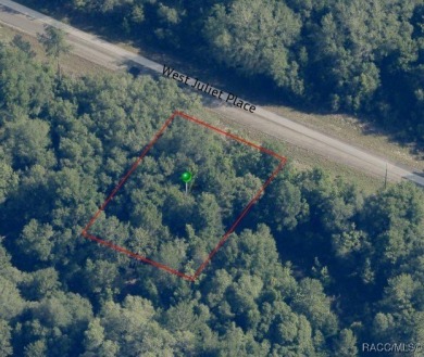 Picturesque homesite in Citrus Springs offering an incredible on Pine Ridge Community Golf and Country Club in Florida - for sale on GolfHomes.com, golf home, golf lot