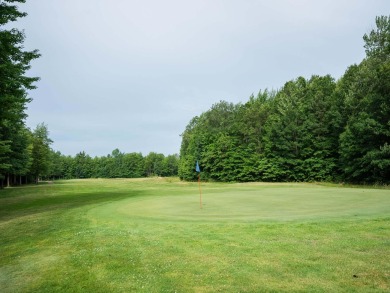 Terraquest Real Estate & Land Company is proud to present the on Westwind Golf Course in Michigan - for sale on GolfHomes.com, golf home, golf lot