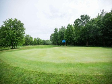 Terraquest Real Estate & Land Company is proud to present the on Westwind Golf Course in Michigan - for sale on GolfHomes.com, golf home, golf lot