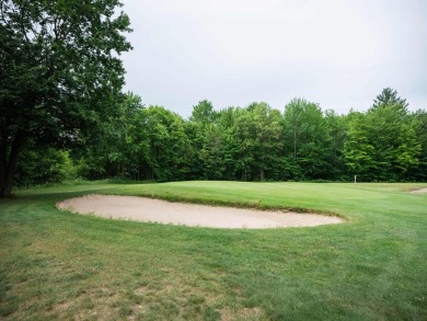 Terraquest Real Estate & Land Company is proud to present the on Westwind Golf Course in Michigan - for sale on GolfHomes.com, golf home, golf lot