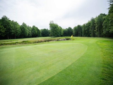 Terraquest Real Estate & Land Company is proud to present the on Westwind Golf Course in Michigan - for sale on GolfHomes.com, golf home, golf lot