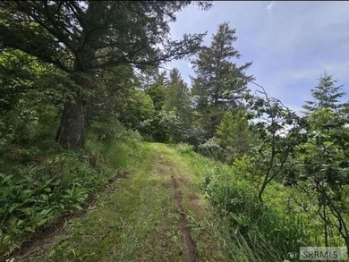 Discover your private Idaho retreat on this 23.1-acre property on  in ID - for sale on GolfHomes.com, golf home, golf lot