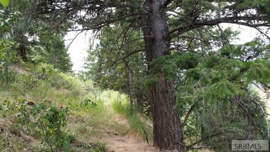 Discover your private Idaho retreat on this 23.1-acre property on  in ID - for sale on GolfHomes.com, golf home, golf lot