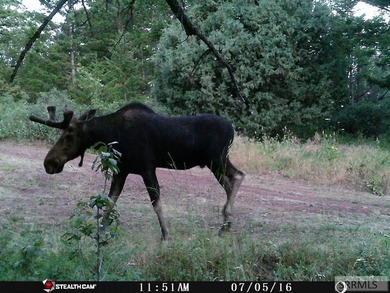 Discover your private Idaho retreat on this 23.1-acre property on  in ID - for sale on GolfHomes.com, golf home, golf lot