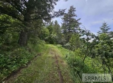 Discover your private Idaho retreat on this 23.1-acre property on  in ID - for sale on GolfHomes.com, golf home, golf lot