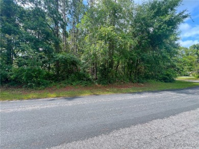 A RARE GEM! Beautiful golf course corner lot (.66 acres) located on Sugarmill Woods Golf and Country Club in Florida - for sale on GolfHomes.com, golf home, golf lot