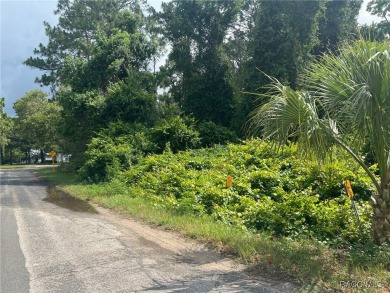 A RARE GEM! Beautiful golf course corner lot (.66 acres) located on Sugarmill Woods Golf and Country Club in Florida - for sale on GolfHomes.com, golf home, golf lot