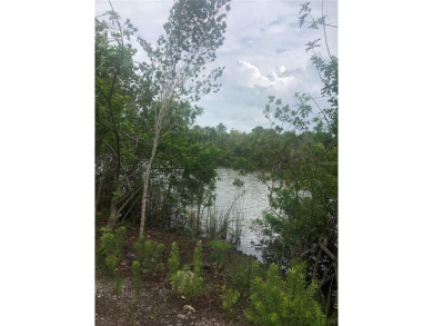 Rare opportunity to own 160' of Waterfront on a true DOUBLE on Rotonda Golf and Country Club - Long Marsh  in Florida - for sale on GolfHomes.com, golf home, golf lot