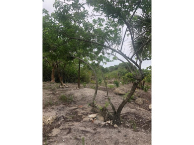 Rare opportunity to own 160' of Waterfront on a true DOUBLE on Rotonda Golf and Country Club - Long Marsh  in Florida - for sale on GolfHomes.com, golf home, golf lot