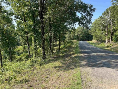 Lake View Corner Tract that allows room to build your Dream Lake on Mountain Ranch Golf Club in Arkansas - for sale on GolfHomes.com, golf home, golf lot