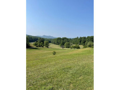 Golf Course lot surrounded by majestic mountain views.  This on Mountain Harbour Golf Club in North Carolina - for sale on GolfHomes.com, golf home, golf lot