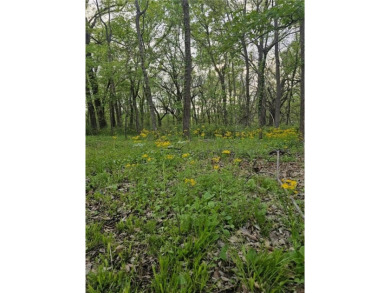 2 Beautiful Treed Lots - Nearly Half an Acre with Electrical - on Sugar Valley Lakes Golf Course in Kansas - for sale on GolfHomes.com, golf home, golf lot