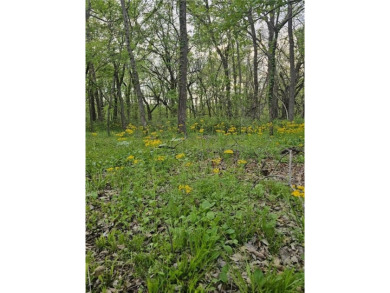 2 Beautiful Treed Lots - Nearly Half an Acre with Electrical - on Sugar Valley Lakes Golf Course in Kansas - for sale on GolfHomes.com, golf home, golf lot