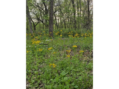 2 Beautiful Treed Lots - Nearly Half an Acre with Electrical - on Sugar Valley Lakes Golf Course in Kansas - for sale on GolfHomes.com, golf home, golf lot