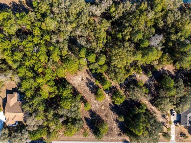 Under contract-accepting backup offers. Buildable vacant lot in on Twisted Oaks Golf Club in Florida - for sale on GolfHomes.com, golf home, golf lot
