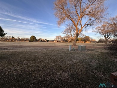This is a super clean, freshly painted, super cute 2 bedroom, 2 on Chaparral Country Club in New Mexico - for sale on GolfHomes.com, golf home, golf lot