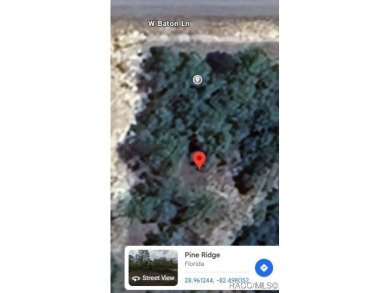 INVESTOR AND BUILDER ALERT!! 1/4 acre parcel in Citrus Springs!! on Pine Ridge Community Golf and Country Club in Florida - for sale on GolfHomes.com, golf home, golf lot