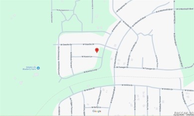 Nice building lot for single-family homes in the quickly growing on Pine Ridge Community Golf and Country Club in Florida - for sale on GolfHomes.com, golf home, golf lot