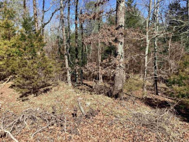 Great lot to build your Dream home. with green belt behind only on Magellan Golf Course in Arkansas - for sale on GolfHomes.com, golf home, golf lot