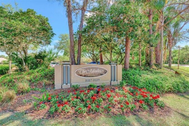 PRICE IMPROVEMENT!  Resort-Style Living in The Meadows Golf on The Meadows Golf and Country Club in Florida - for sale on GolfHomes.com, golf home, golf lot