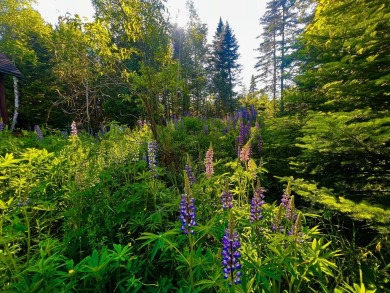 HERE'S A CHANCE to own a cabin on the Saddleback Mountain Road on Evergreen Golf Club in Maine - for sale on GolfHomes.com, golf home, golf lot