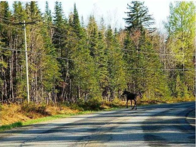 HERE'S A CHANCE to own a cabin on the Saddleback Mountain Road on Evergreen Golf Club in Maine - for sale on GolfHomes.com, golf home, golf lot