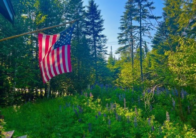 HERE'S A CHANCE to own a cabin on the Saddleback Mountain Road on Evergreen Golf Club in Maine - for sale on GolfHomes.com, golf home, golf lot