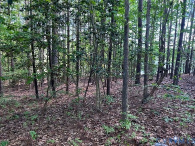 Arguably the BEST LOT in Brickshire is now on the market ! This on Brickshire Golf Club in Virginia - for sale on GolfHomes.com, golf home, golf lot