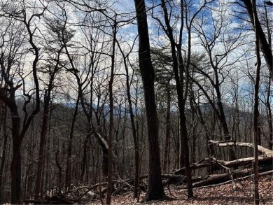 This 1.21 acre lot is located on a cul-de-sac across the road on Bent Tree Golf Course in Georgia - for sale on GolfHomes.com, golf home, golf lot