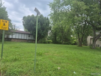 LEVEL LOT WITH 60 FT OF WATER FRONTAGE (PER SELLER). IRREGULAR on Arlington Greens Golf Course in Illinois - for sale on GolfHomes.com, golf home, golf lot