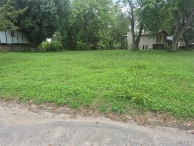 LEVEL LOT WITH 60 FT OF WATER FRONTAGE (PER SELLER). IRREGULAR on Arlington Greens Golf Course in Illinois - for sale on GolfHomes.com, golf home, golf lot