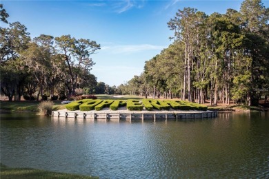 ATTENTION GOLF LOVERS!  COPPERHEAD GOLF COURSE direct views for on Innisbrook Resort and Golf Club in Florida - for sale on GolfHomes.com, golf home, golf lot