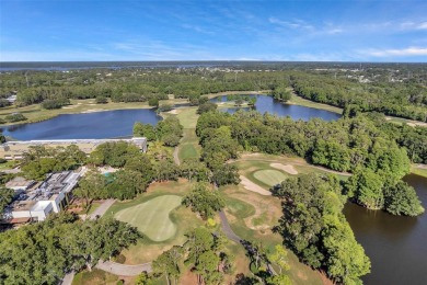 ATTENTION GOLF LOVERS!  COPPERHEAD GOLF COURSE direct views for on Innisbrook Resort and Golf Club in Florida - for sale on GolfHomes.com, golf home, golf lot