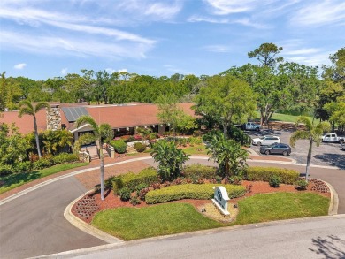 ATTENTION GOLF LOVERS!  COPPERHEAD GOLF COURSE direct views for on Innisbrook Resort and Golf Club in Florida - for sale on GolfHomes.com, golf home, golf lot
