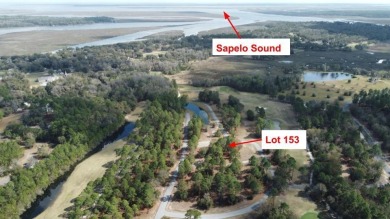 MOTIVATED SELLER! Partially cleared corner lot in the gated on Sapelo Hammock Golf Club in Georgia - for sale on GolfHomes.com, golf home, golf lot