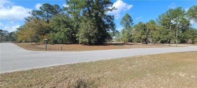 MOTIVATED SELLER! Partially cleared corner lot in the gated on Sapelo Hammock Golf Club in Georgia - for sale on GolfHomes.com, golf home, golf lot