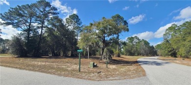 MOTIVATED SELLER! Partially cleared corner lot in the gated on Sapelo Hammock Golf Club in Georgia - for sale on GolfHomes.com, golf home, golf lot