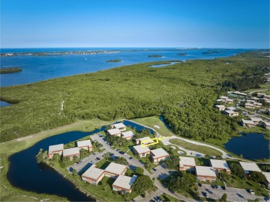 VISTA ROYALE, a vibrant and amenity-rich 55+ community where on The American Golf Club in Florida - for sale on GolfHomes.com, golf home, golf lot