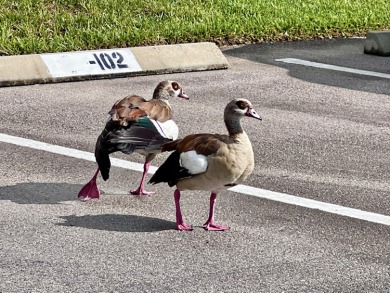 PRICE REDUCED & WINDOW REPAIR INCLUDED! Turnkey 2BR/2BA on The American Golf Club in Florida - for sale on GolfHomes.com, golf home, golf lot
