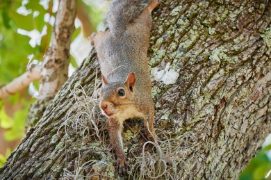 PRICE REDUCED & WINDOW REPAIR INCLUDED! Turnkey 2BR/2BA on The American Golf Club in Florida - for sale on GolfHomes.com, golf home, golf lot